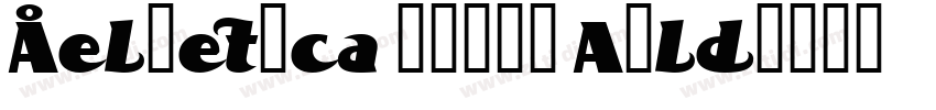 Helvetica Profi Bold字体转换